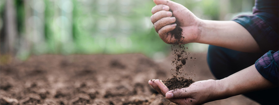 Hands in the soil.