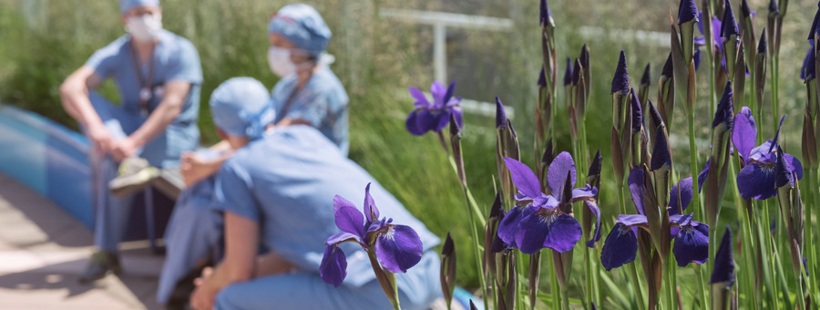 pso_driving_safety1222