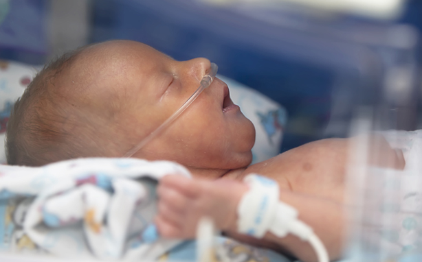 Baby in the NICU.