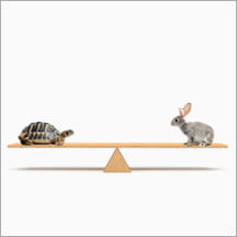 A turtle and a rabbit in balance on a teeter-totter.